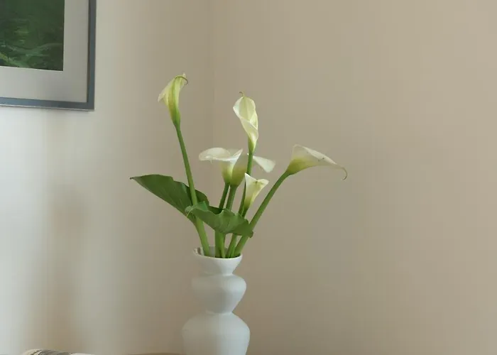 C'est La Vue Apartamento *