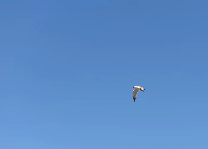 C'est La Vue * Rétino