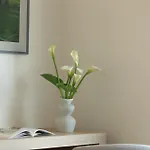 C'est La Vue Apartamento *