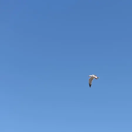 C'est La Vue * Retimno